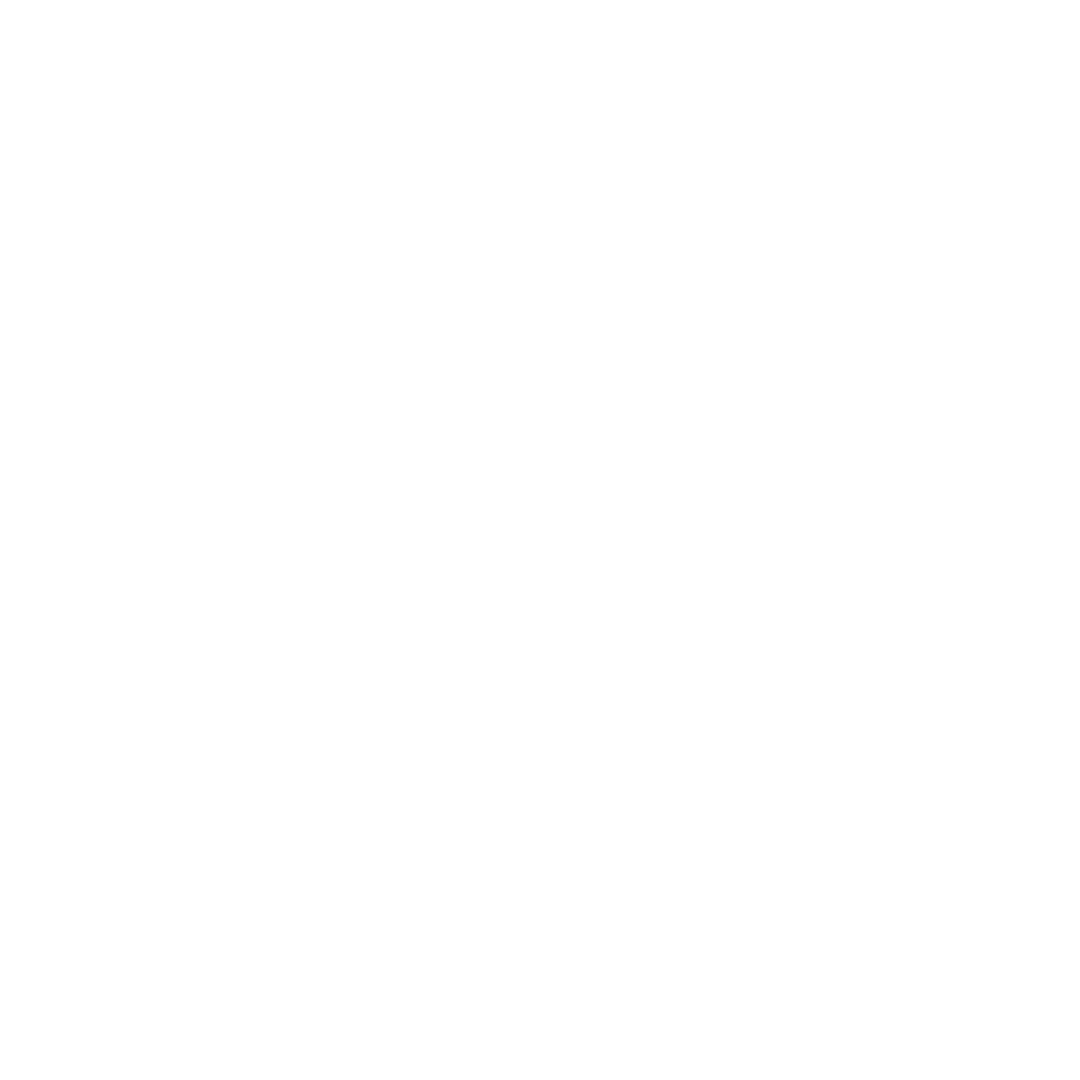 Logo do NOCS